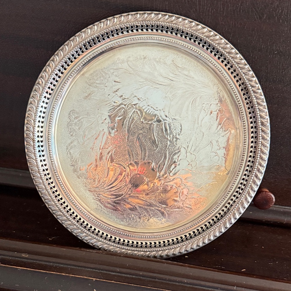 Elegant Silver Decorative Tray